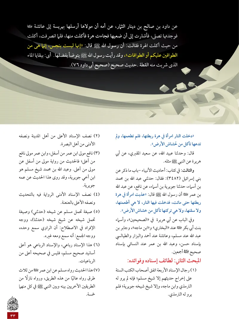 الصحيفة الصادقة، العدد ٥، الصفحة ٣٣ كما طُبعت