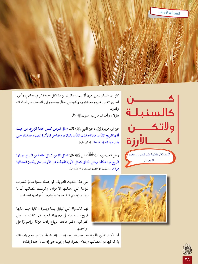 الصحيفة الصادقة، العدد ٦، الصفحة ٣٨ كما طُبعت