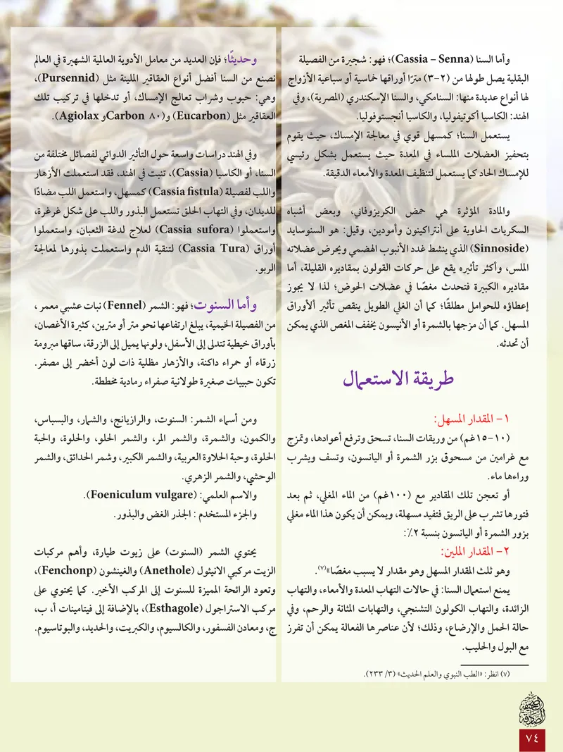 الصحيفة الصادقة، العدد ٦، الصفحة ٧٤ كما طُبعت