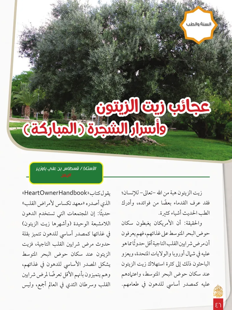الصحيفة الصادقة، العدد ٨، الصفحة ٤٦ كما طُبعت