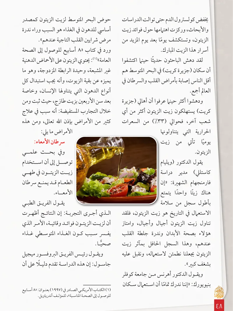 الصحيفة الصادقة، العدد ٨، الصفحة ٤٨ كما طُبعت