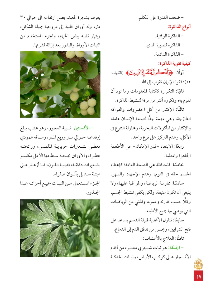 الصحيفة الصادقة، العدد ٨، الصفحة ٦٨ كما طُبعت