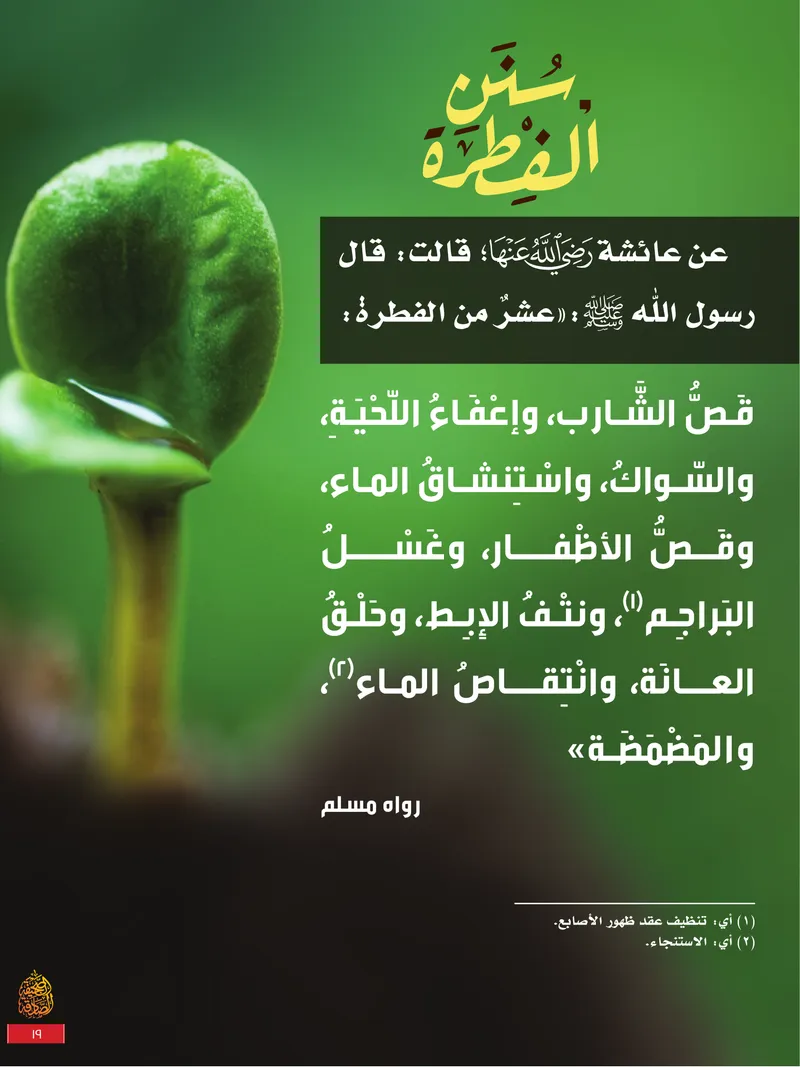 الصحيفة الصادقة، العدد ٩، الصفحة ١٩ كما طُبعت