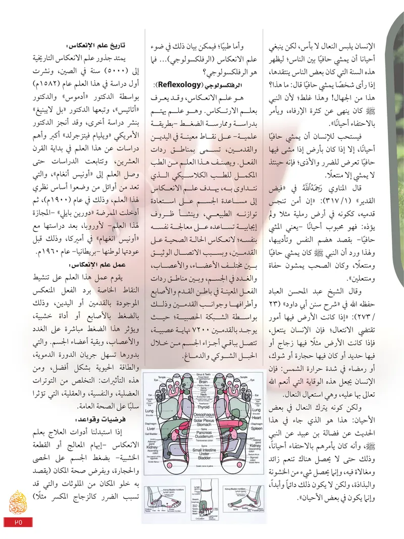 الصحيفة الصادقة، العدد ٩، الصفحة ٣٥ كما طُبعت
