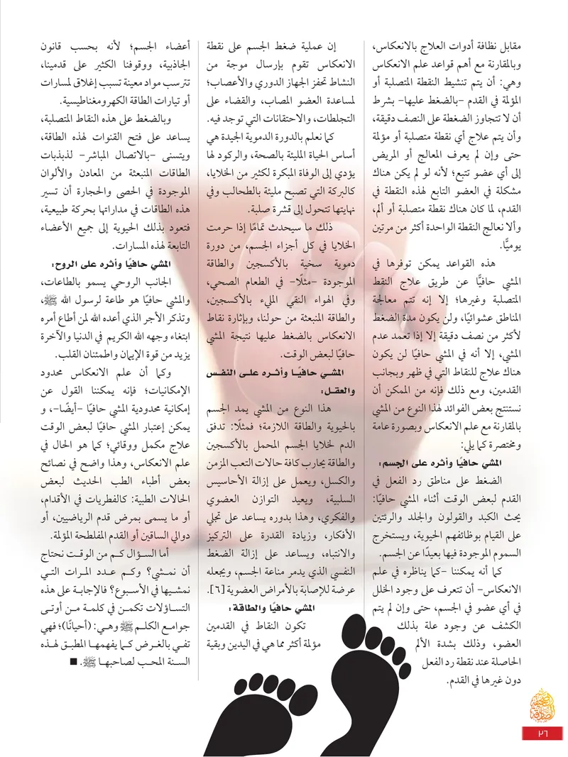 الصحيفة الصادقة، العدد ٩، الصفحة ٣٦ كما طُبعت